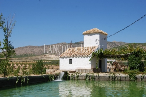 Huéscar. Granada Finca y cortijo en venta