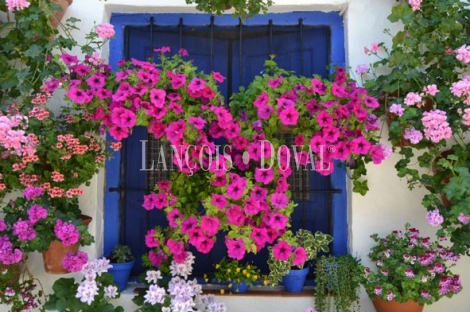 Provincia Sevilla. Casa Rural en venta.