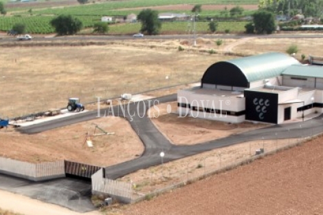 Tomelloso. Ciudad Real. Bodega en plena producción y viñedo en venta.