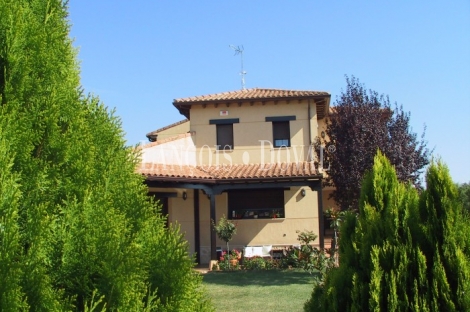 Zazuar. Ribera del Duero. Burgos.