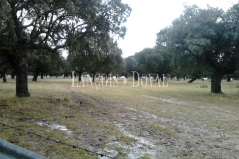Venta Finca Rustica Y Ganadera Vecinos Salamanca