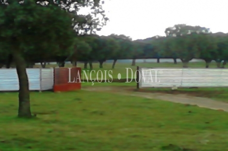 Venta Finca Rustica Y Ganadera Vecinos Salamanca