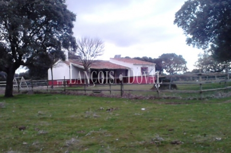 Vecinos. Salamanca. Finca rústica y ganadera en venta.