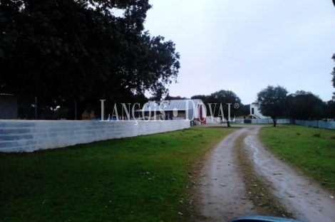 Vecinos. Salamanca. Finca rústica y ganadera en venta.