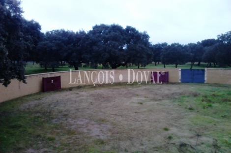 Vecinos. Salamanca. Finca rústica y ganadera en venta.