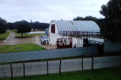 Vecinos. Salamanca. Finca rústica y ganadera en venta.