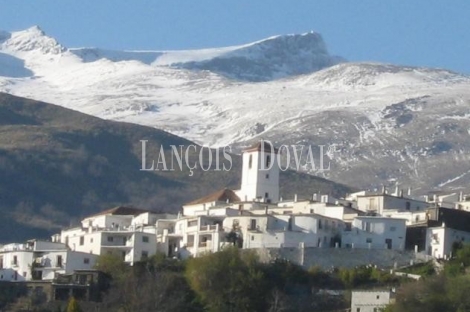 Capileira. La Alpujarra. Granada Cortijo en venta.