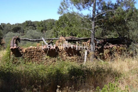 Santa Ana la Real. Huelva. Finca en venta con proyecto de turismo rural.