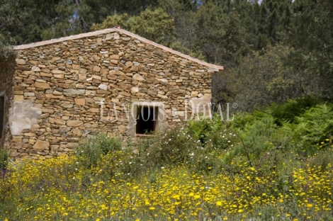 Santa Ana la Real. Huelva. Finca en venta con proyecto de turismo rural.