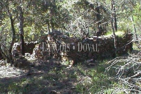 Santa Ana la Real. Huelva. Finca en venta con proyecto de turismo rural.