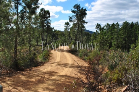 Santa Ana la Real. Huelva. Finca en venta con proyecto de turismo rural.