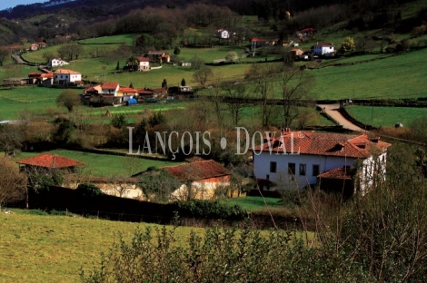 Parroquia de Santa María de Bayo, Concejo de Grado. Asturias. Casa Palacio en venta.