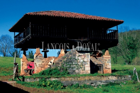 Parroquia de Santa María de Bayo, Concejo de Grado. Asturias. Casa Palacio en venta.