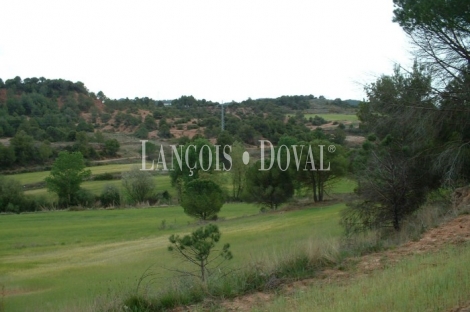 Sant Llorenç Savall. Barcelona. Finca y proyecto camping en venta.