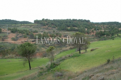 Sant Llorenç Savall. Barcelona. Finca y proyecto camping en venta.