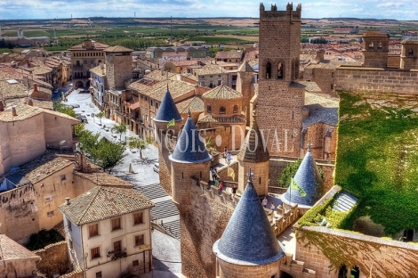 Ribera de Navarra. Zona Olite. Casa palacio en venta actualmente hotel con encanto.