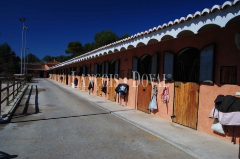 Urb El Bosque. Chiva. Valencia. Hípica en venta.