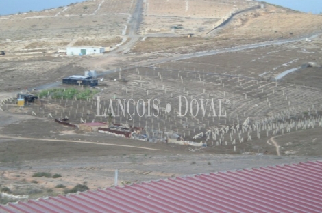 Finca con posibilidades urbanísticas en venta. Las Palmas de Gran Canaria.