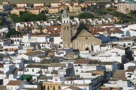 Molino a rehabilitar ideal loft o local. Salteras. Sevilla.