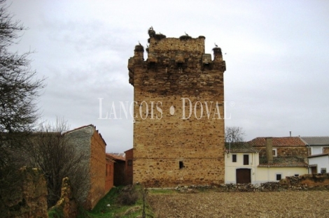 Castillo en venta. Quintana del Marco. León