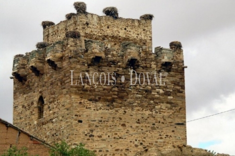 Castillo en venta. Quintana del Marco. León