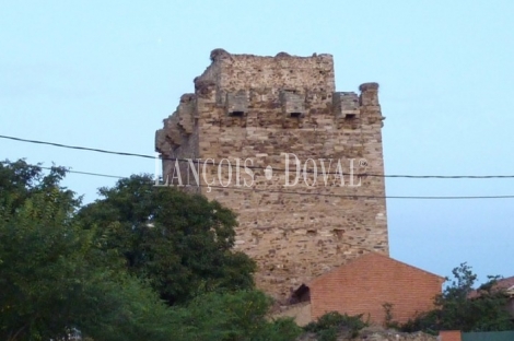 Castillo en venta. Quintana del Marco. León