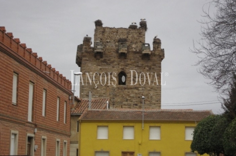 Castillo en venta. Quintana del Marco. León