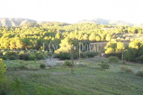 Finca con casa señorial y casa rural en venta. Valls. Tarragona