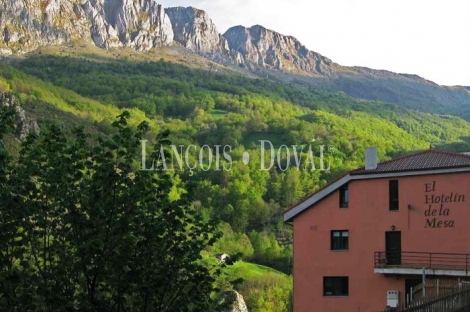 Hotel rural y apartamentos turísticos en venta. Lena. Asturias.