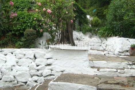 Finca y casa señorial en venta. Algeciras. Cádiz.