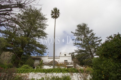 Finca y casa señorial en venta. Algeciras. Cádiz.