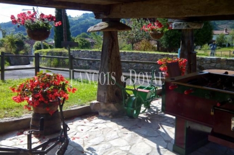 Asturias. Casa rural en venta Concejo de Parres. Arriondas. 