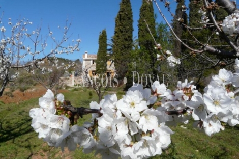 Castellón. Casa rural en venta. Jérica. Sierra de Espadán. 