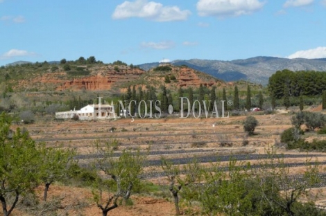 Castellón. Casa rural en venta. Jérica. Sierra de Espadán. 