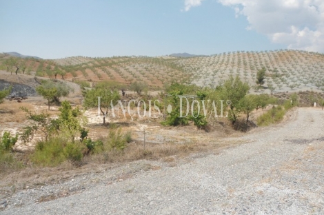 Vélez Rubio. Cortijo en venta. Almería.