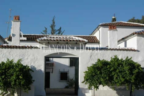 Cortijo y finca en venta. Santisteban del Puerto. Jaén.