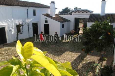 Cortijo y finca en venta. Santisteban del Puerto. Jaén.