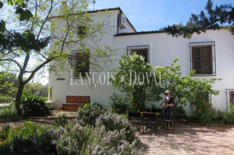 Cortijo y finca en venta. Santisteban del Puerto. Jaén.