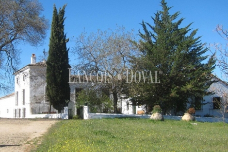 Cortijo y finca en venta. Santisteban del Puerto. Jaén.