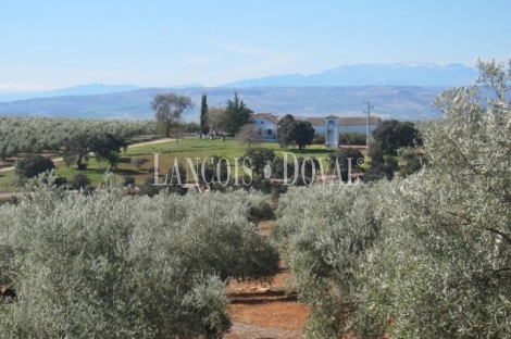 Cortijo y finca en venta. Santisteban del Puerto. Jaén.