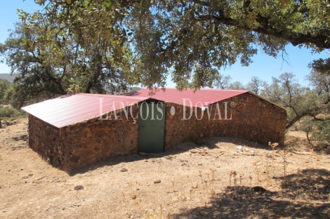 Finca en venta. Zufre. Sierra de Aracena y Picos de Aroche. Huelva.