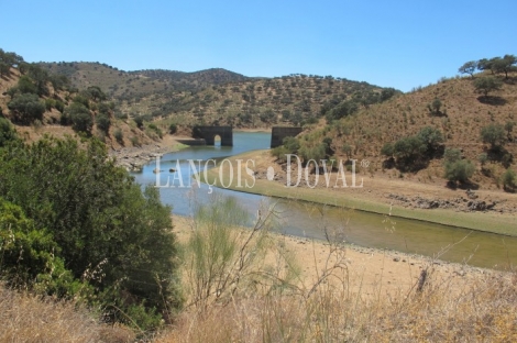 Finca en venta. Zufre. Sierra de Aracena y Picos de Aroche. Huelva.