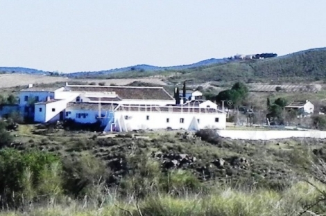 Toledo. Mora. Casa rural y finca en venta.