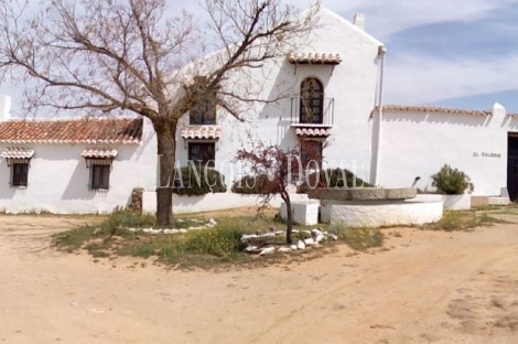 Toledo. Mora. Casa rural y finca en venta.