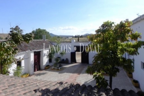 Toledo. Mora. Casa rural y finca en venta.