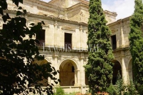  Monasterios. Conventos. Abadías. Palacios. Castillos. Pueblos abandonados en venta