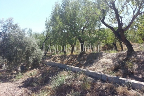 Cortijo antigua almazara en venta. Sierra Nevada. Abrucena. Almería