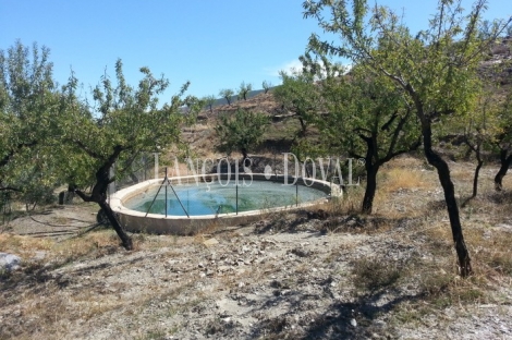 Cortijo antigua almazara en venta. Sierra Nevada. Abrucena. Almería