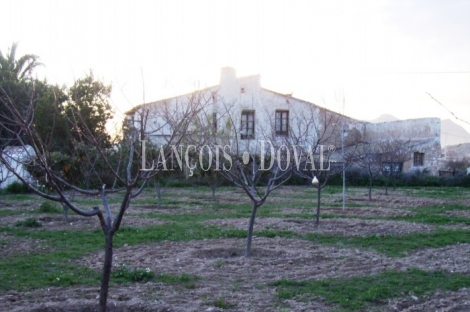 Alicante. Finca y masía en venta. Sant Vicente del Raspeig.