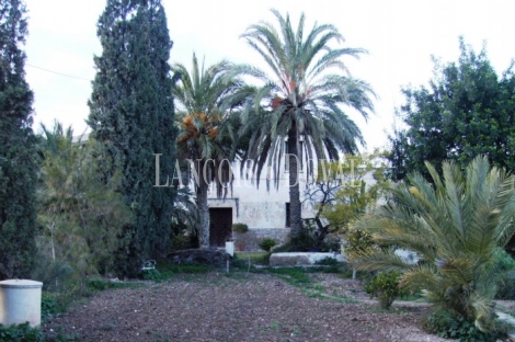 Alicante. Finca y masía en venta. Sant Vicente del Raspeig.